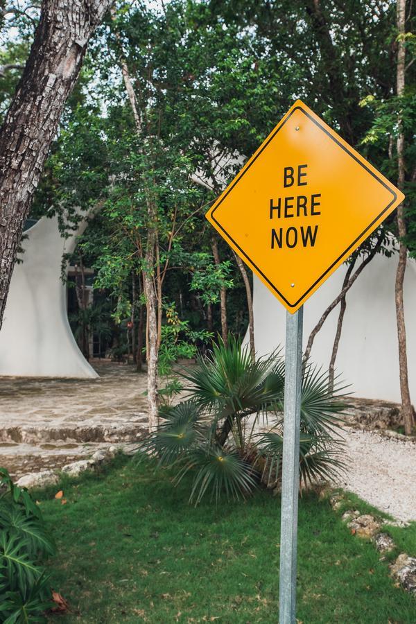 Hotel Holistika Tulum Exteriér fotografie